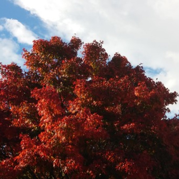 Meet your Posher, Mary - Picture 2 of 5